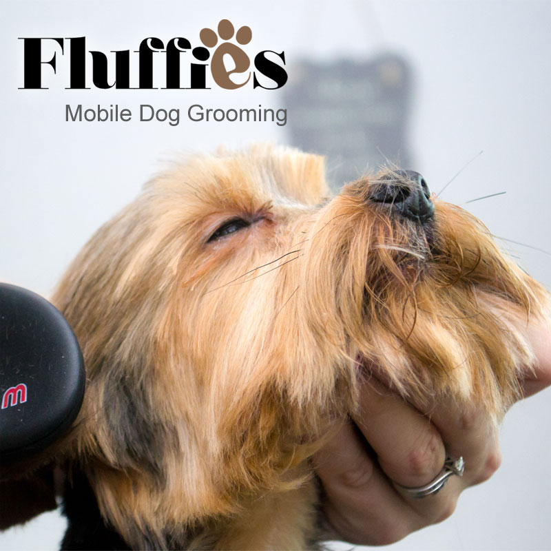 Mobile Dog Grooming Service covering Stoke on Trent, Leek and surrounding areas of Staffordshire. We visit your furry friend at home to cut and style.
