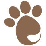 Favicon-min