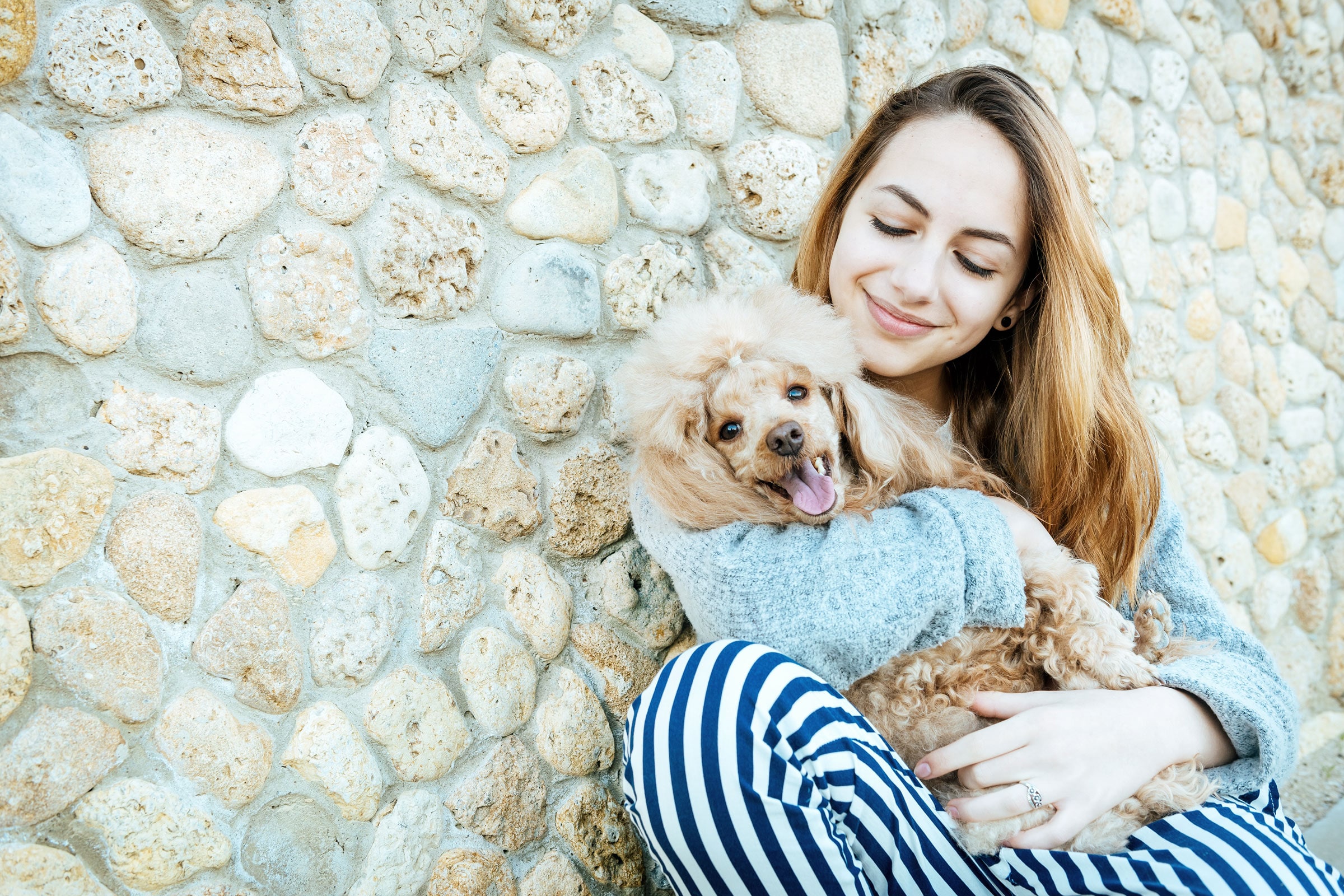 Mobile Dog Grooming